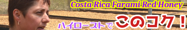 コスタリカ ファラミ ファラミ農園 カツアイ(レッドハニー)