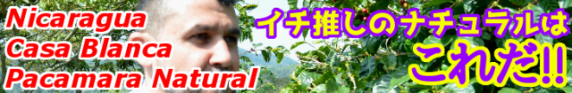 ニカラグア　カサ・ブランカ農園　パカマラ（ナチュラル）