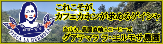 グアテマラ　ラ・エルモサ農園　ゲイシャ
